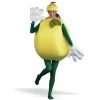Lemon Costume Adult