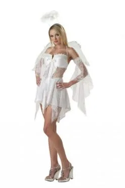 A Little Bit Of Heaven Adult Costume