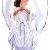 Angel Dress Adult Costume