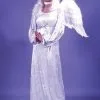 Velvet Angel Of Light Adult Costume