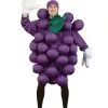 Grapes Purple Adult And Child Costume