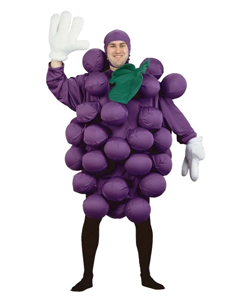 Grapes Purple Adult And Child Costume 1 Grapes Purple Adult And Child Costume