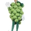 Grapes Green Adult And Child Costume